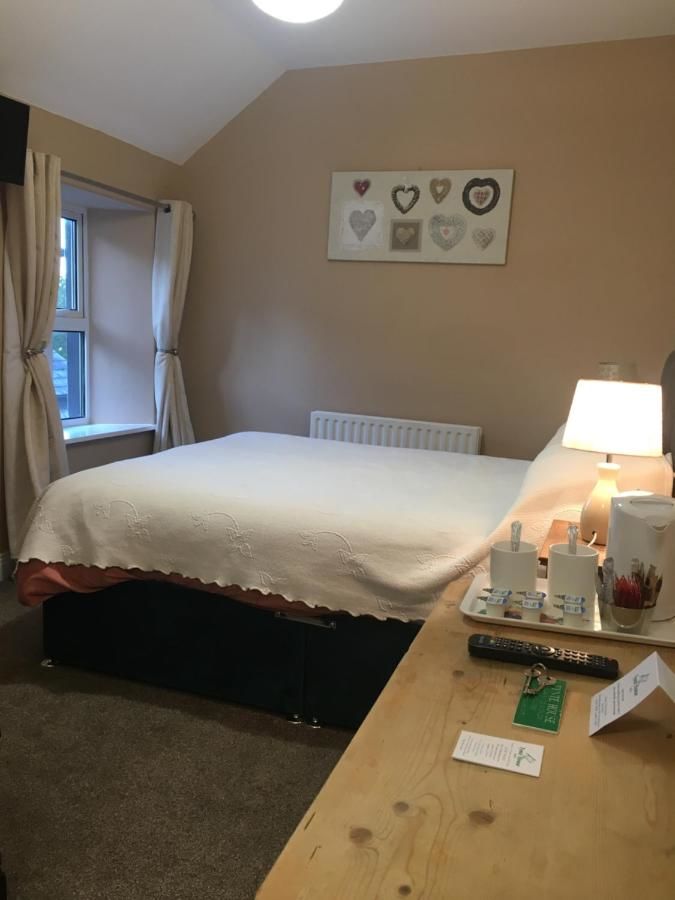 Отели типа «постель и завтрак» Tynte House Dún Luáin-27