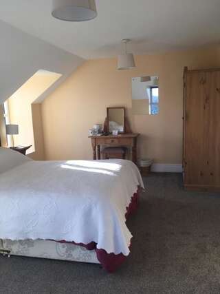Отели типа «постель и завтрак» Tynte House Dún Luáin Двухместный номер с 1 кроватью или 2 отдельными кроватями и собственной ванной комнатой-6