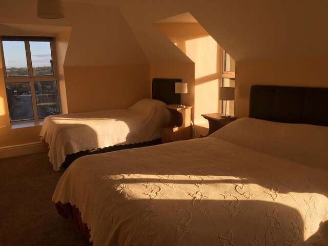 Отели типа «постель и завтрак» Tynte House Dún Luáin-32
